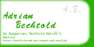 adrian bechtold business card